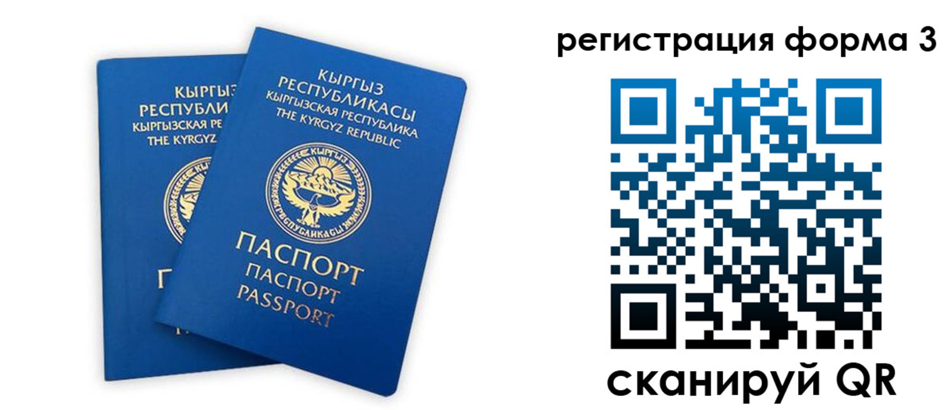 временная регистрация госуслуги в Никольске